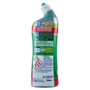 Ace Disincrostante WC Gel 700 ml